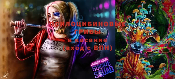 кокс Абаза