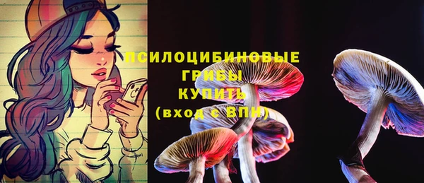 кокс Абаза