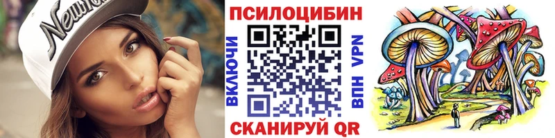 Псилоцибиновые грибы Cubensis  Гаджиево 